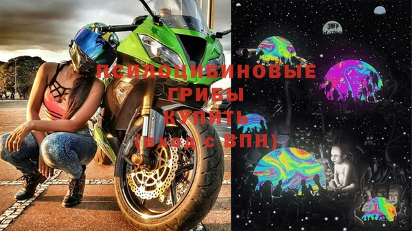 дурь Алексин