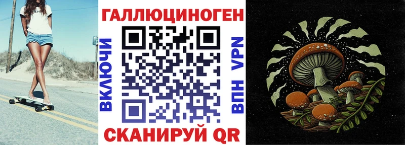 Псилоцибиновые грибы Psilocybine cubensis  Апрелевка 